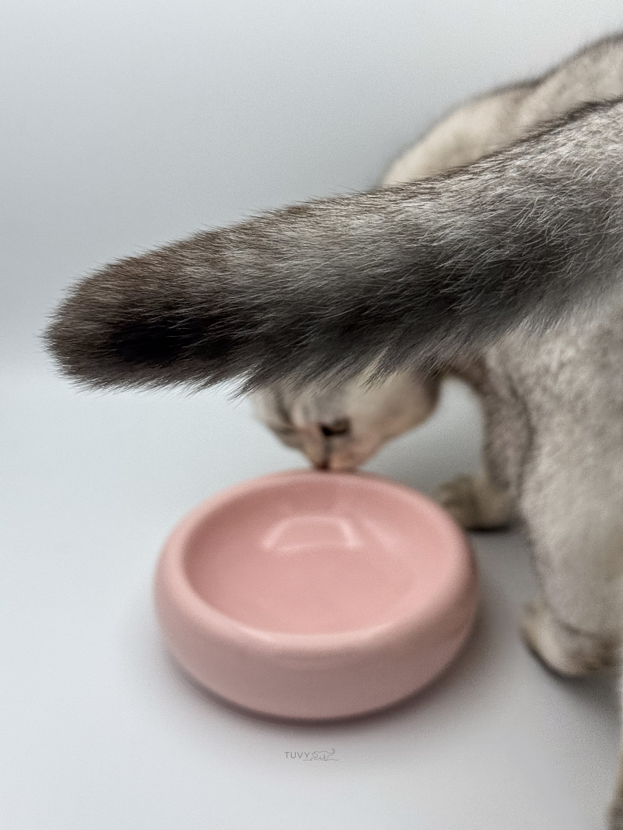 Katzennapf soft rose