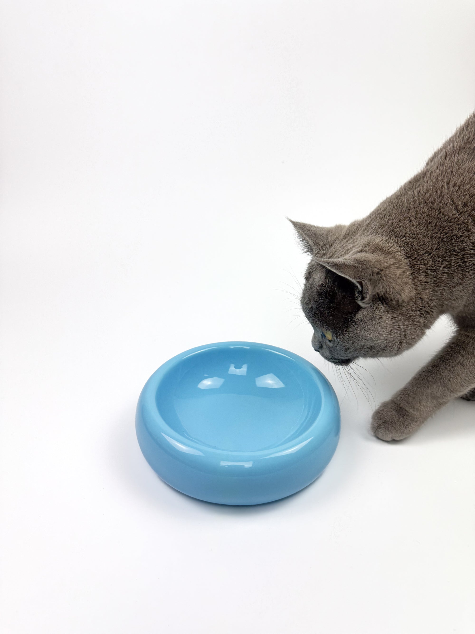 Blauer Futternapf aus Keramik | ocean blue | dopamine decor | moderne bubble Form | Katzen, Hunde, Kaninchen | TUVY