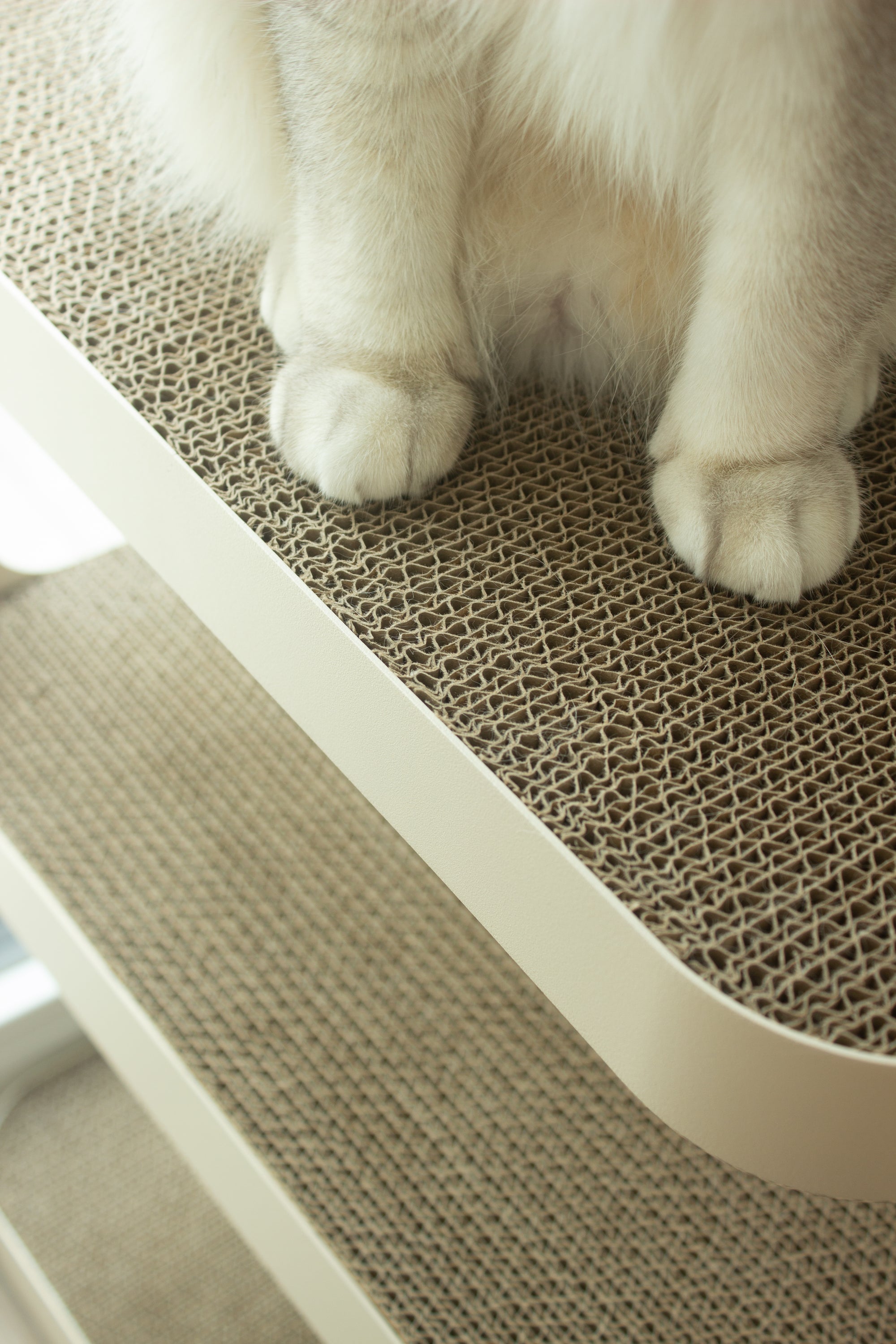 Design Beistelltisch modern stylisch hochwertiges Metall, Kratzpappe, stylische Kratzmöbel