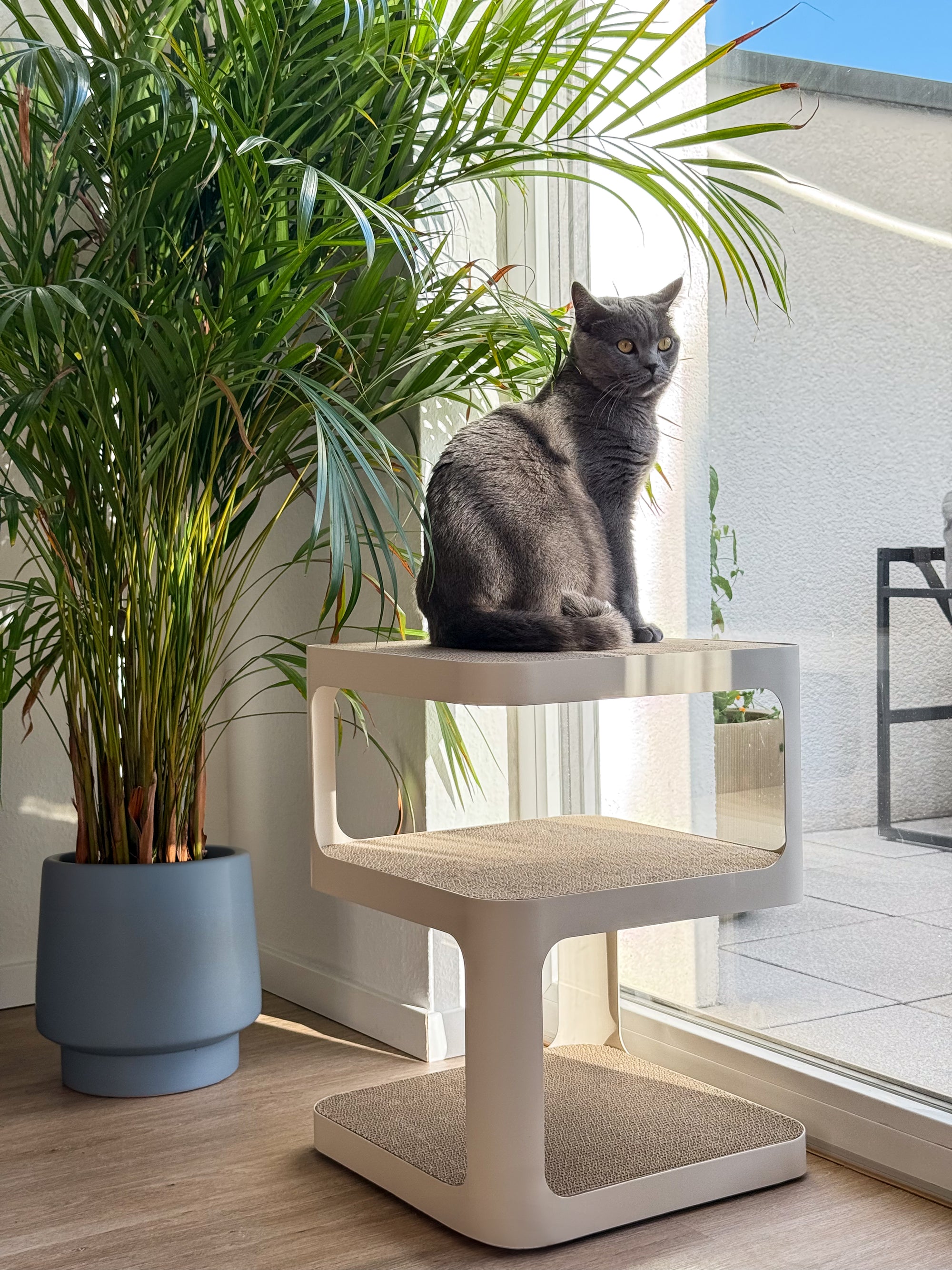 Design-Beistelltisch mit Kratzoption