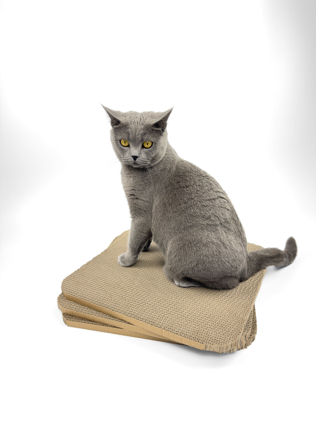 Ersatz Kratzpappe Beistelltisch