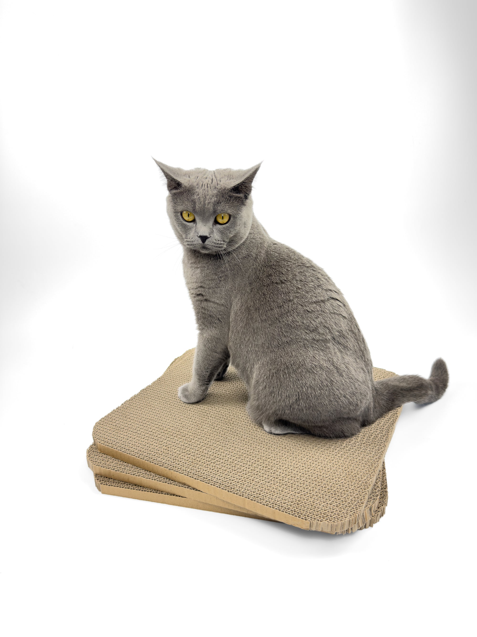 Ersatz Kratzpappe Beistelltisch