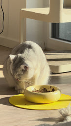 Gelber Keramik-Katzennapf in moderner Bubble-Form – stilvolles Design von Tuvy