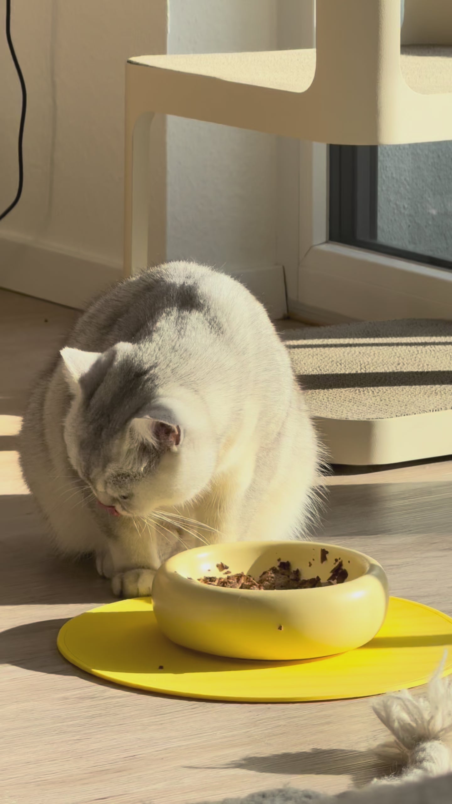 Gelber Keramik-Katzennapf in moderner Bubble-Form – stilvolles Design von Tuvy