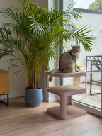 Design-Beistelltisch mit Kratzoption | rose quartz pink