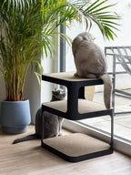 Design-Beistelltisch mit Kratzoption | obsidian black