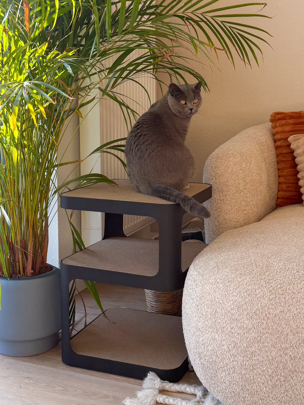 Design-Beistelltisch mit Kratzoption | obsidian black