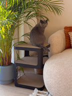 Design-Beistelltisch mit Kratzoption | obsidian black