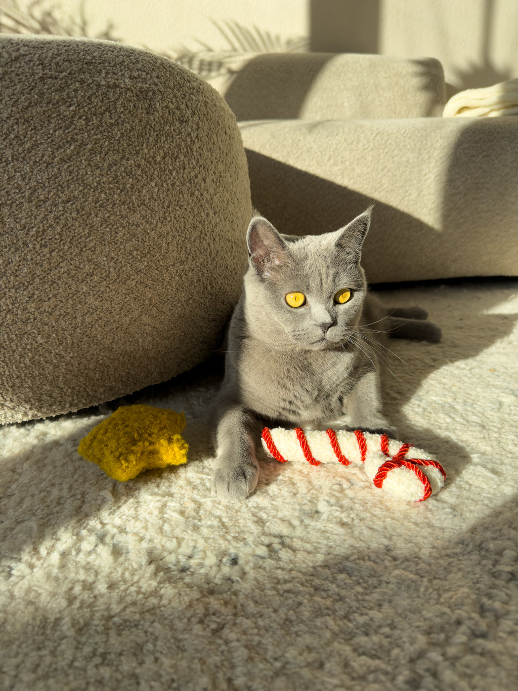 Candy Cane and Star - Katzenspielzeug