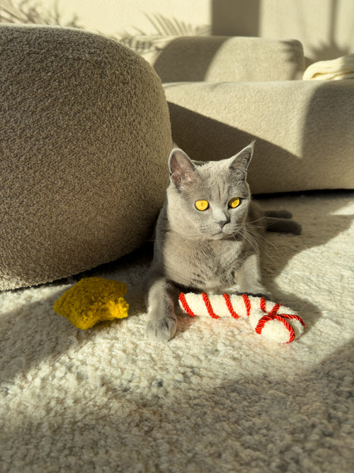 Candy Cane and Star - Katzenspielzeug